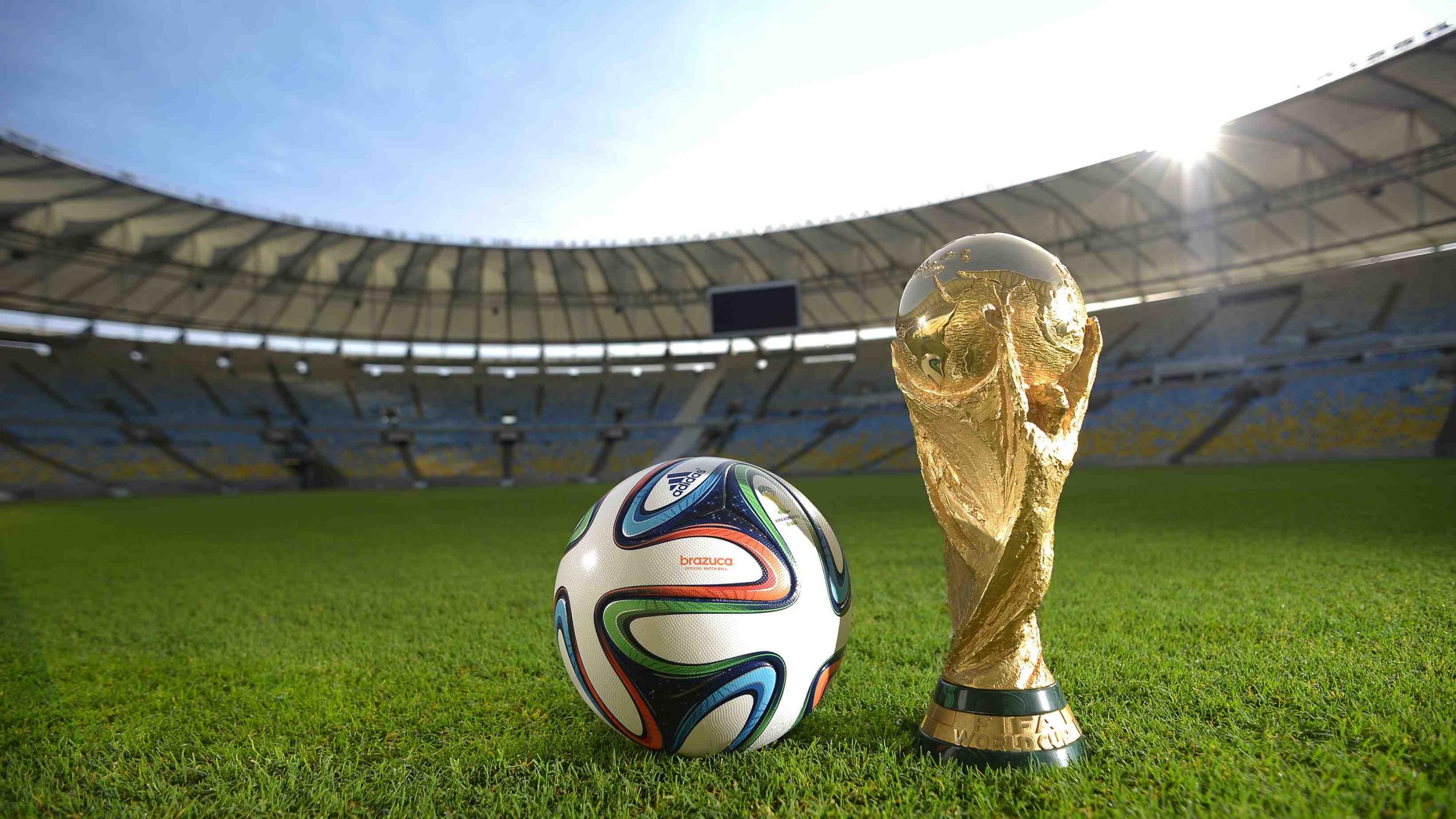 利一度掌