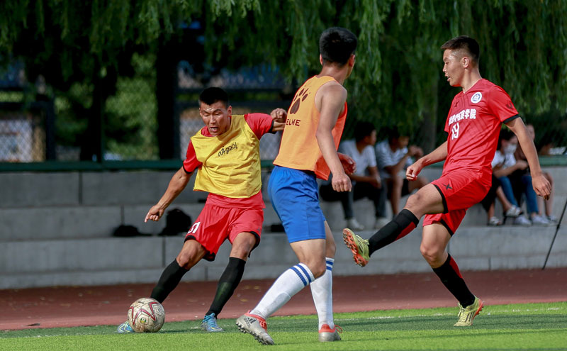 窗补强