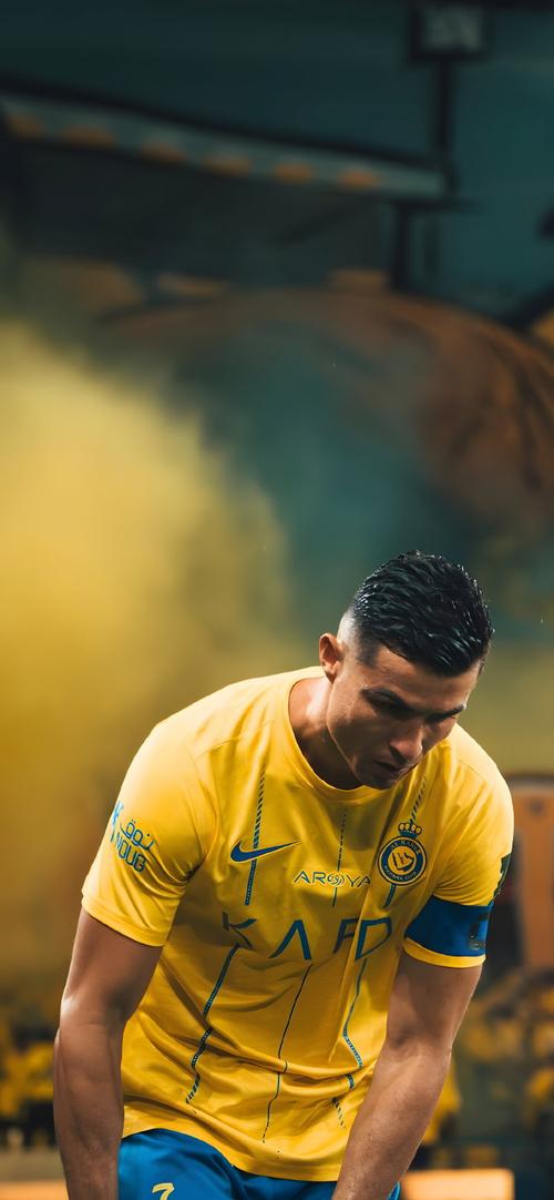 提供更
